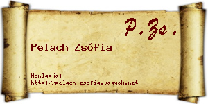 Pelach Zsófia névjegykártya